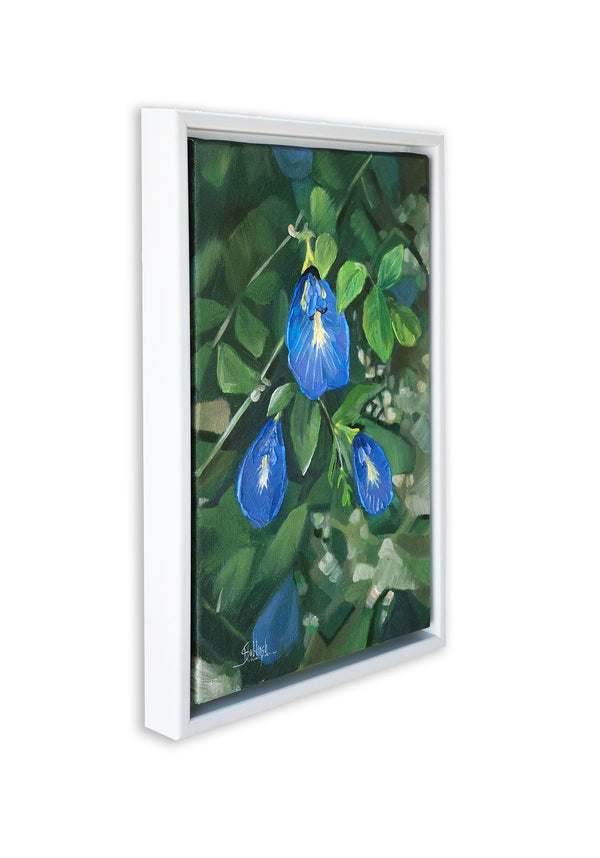 Native Flower Series-Shanku Pushpam
