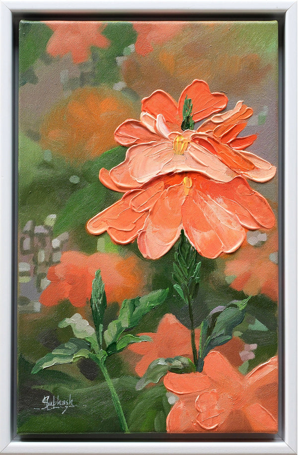 Native Flower Series-Kanakambaram
