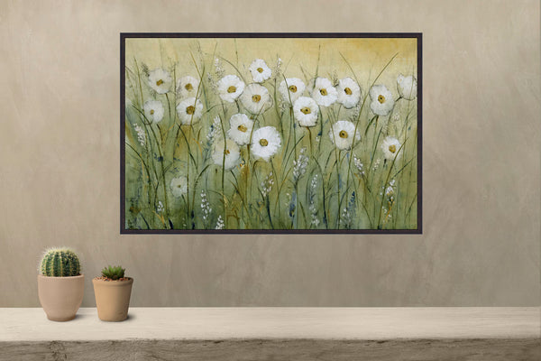Daisy Field