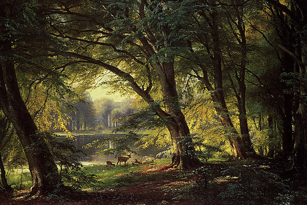 The Deer Park