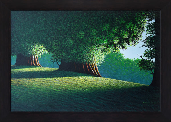 Sun-Dappled Meadow