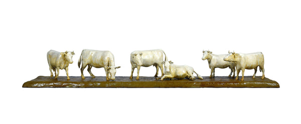 Herd of Cows