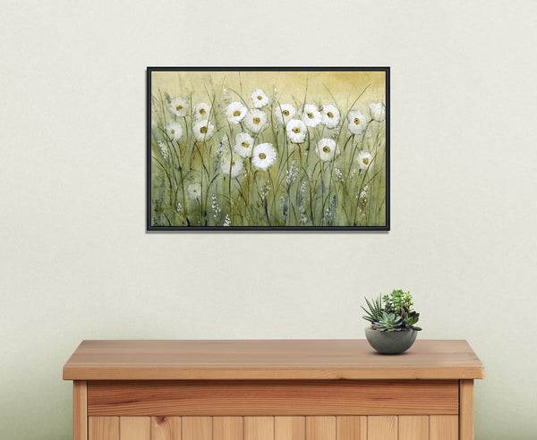 Daisy Field
