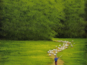 Nature and landscape
