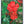 Native Flower Series-Chembarathi