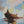 Solitary Sail
