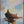 Solitary Sail