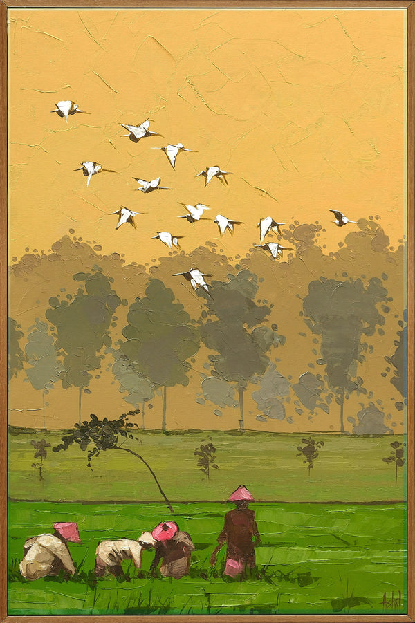 Dawn Harvest
