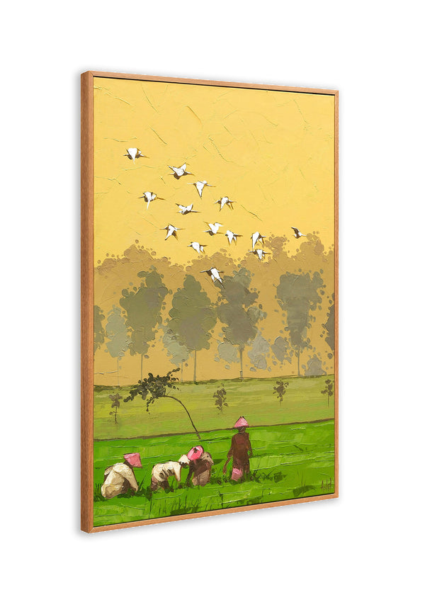 Dawn Harvest