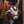 Decorated Bull