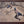 Kalaripayattu 1