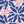 Patterned Petals