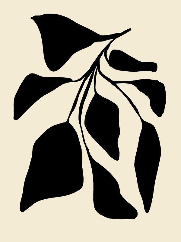 Dark Leaf Cluster