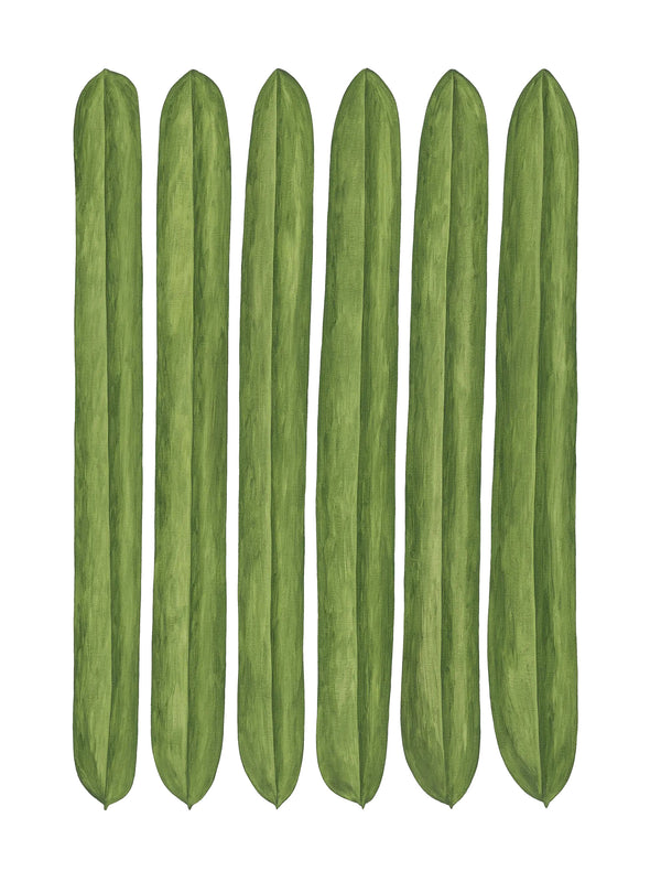 Textured Sticks