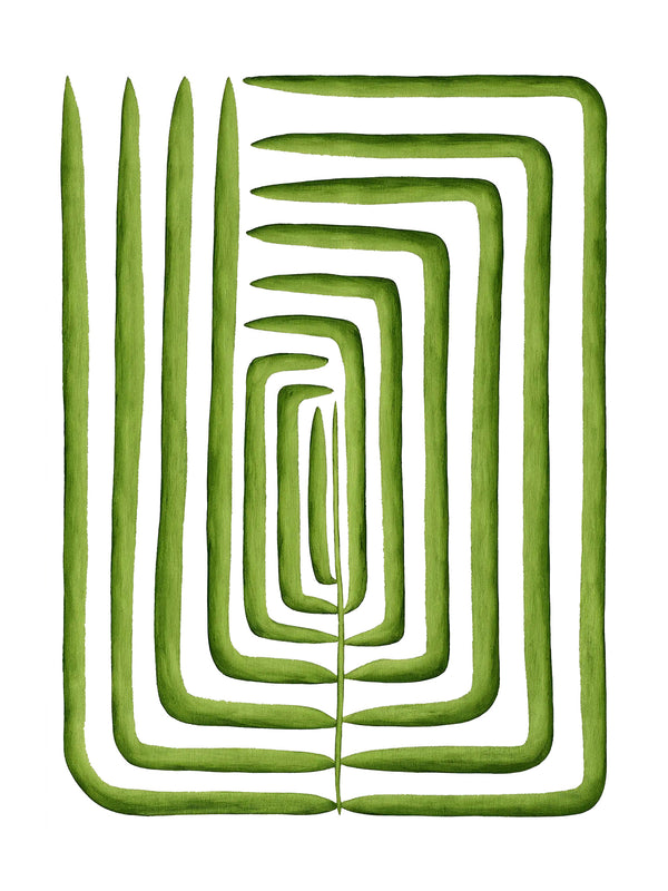 Pathway Lines