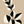 Two-Toned Leaf 1