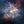 Cosmic Bloom