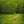 Trail