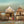 Village on Stilts