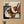 Circle Harmony - 3