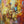 Symphony of Colours